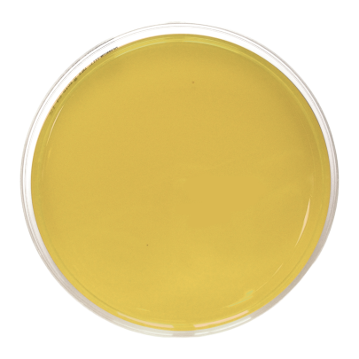 SPS Agar APHA (90 mm)