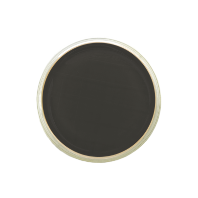 Legionella BCYE Agar ISO (contact)