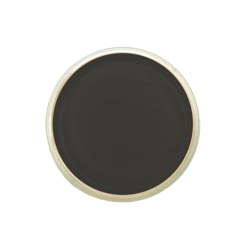 Legionella BCYE w/o Cys Agar ISO (contact)