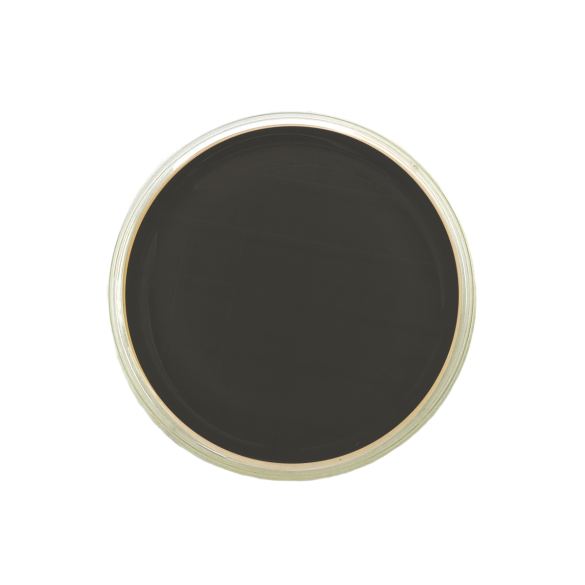 Legionella BCYE w/o Cys Agar ISO (contact)