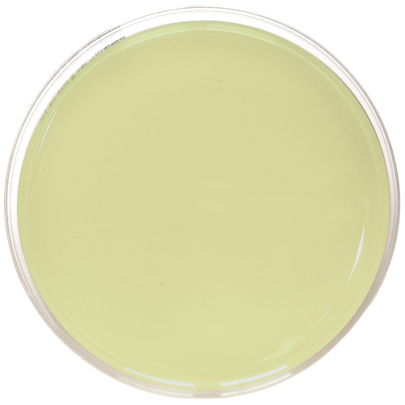 Mueller Hinton Agar (150 mm)