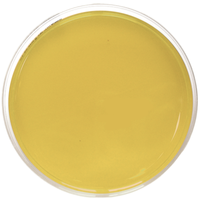 TSA EP USP ISO (150 mm)