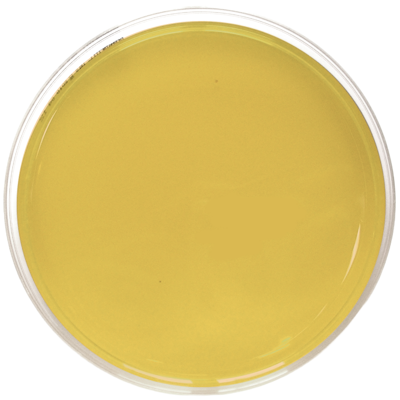 TSA EP USP ISO (150 mm)