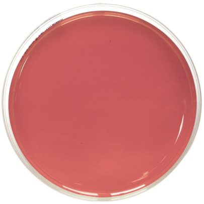 XLD Agar ISO (150 mm)
