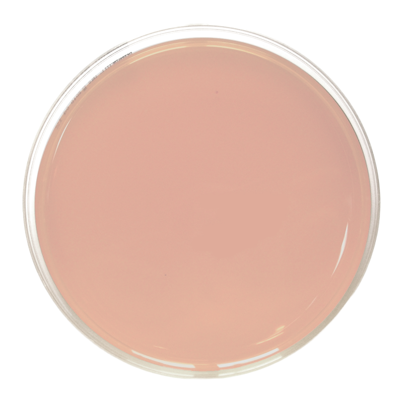 Yersinia Selective CIN Agar ISO (90 mm)