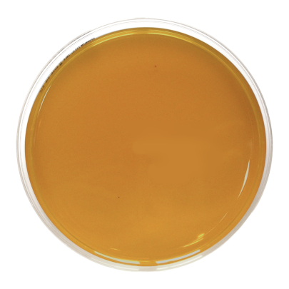 Desoxycholate Citrate Agar (90 mm)