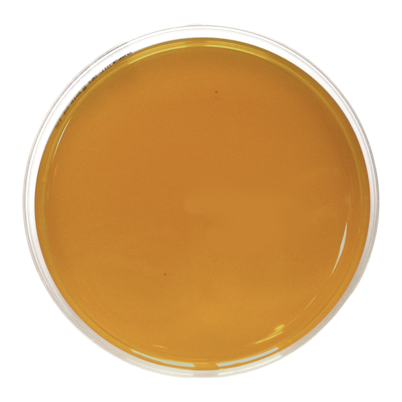Desoxycholate Citrate Agar (90 mm)