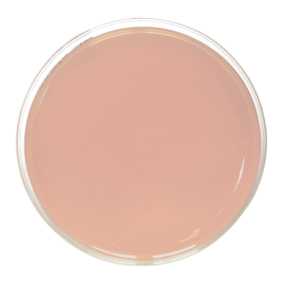 m-Enterococcus Agar (Slanetz-Bartley) ISO (90 mm)