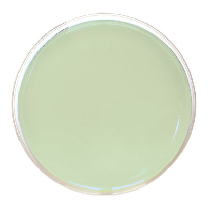 Nematode Growth Medium (90 mm)
