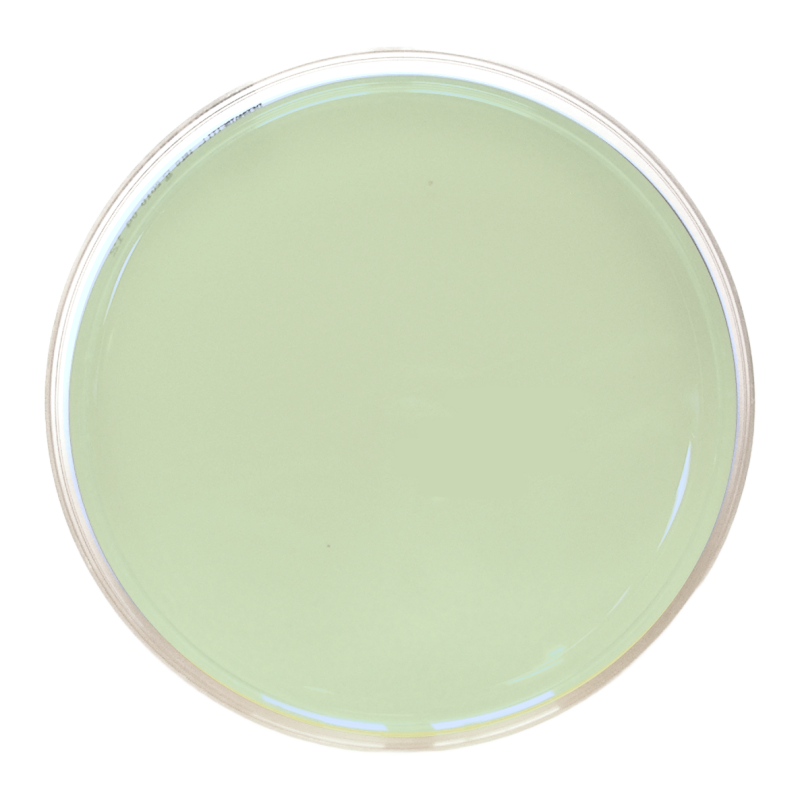 Nematode Growth Medium (90 mm)