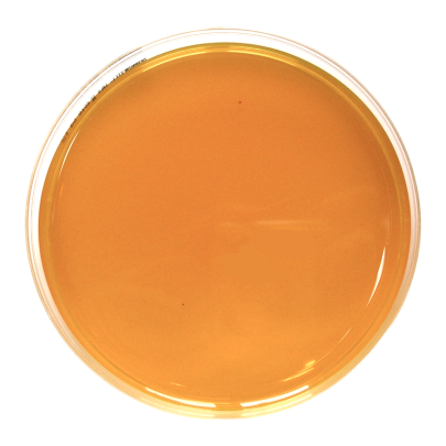 Burkholderia cepacia Selective Agar (90 mm)