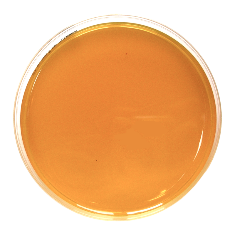 Burkholderia cepacia Selective Agar (BCSA) USP 60 (90 mm)