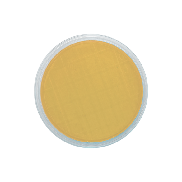 TSA EP USP ISO + 2 Neutralizers (air sampler)