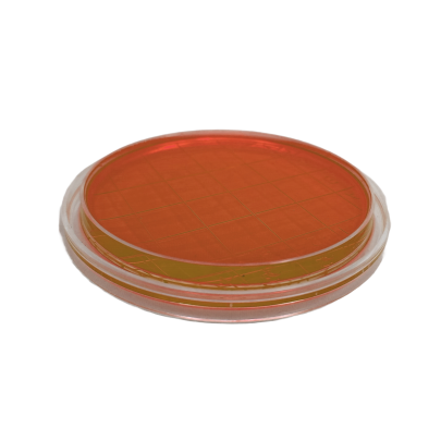 Columbia CNA Agar with 5% sheep blood (air sampler) 2