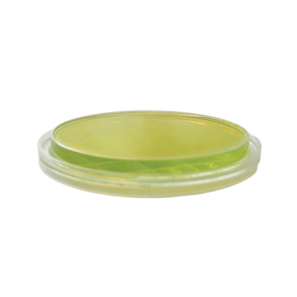 Nutrient Agar ISO + 2 Neutralizers (air sampler 90 mm)