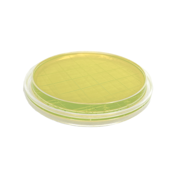 Nutrient Agar ISO (air sampler 90 mm)