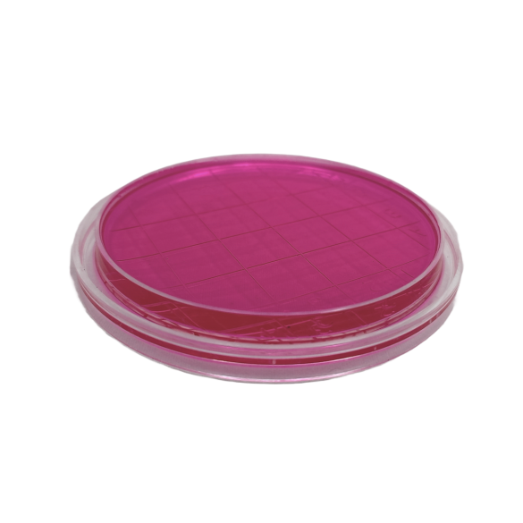 Rosa Bengala Agar + Dichloran + CAF (DRBC) ISO (air sampler)
