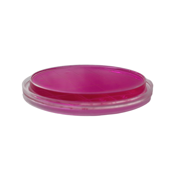 Rosa Bengala Agar + Dichloran + CAF (DRBC) ISO (air sampler)