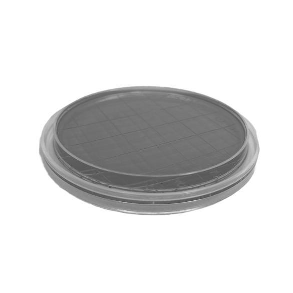 Legionella GVPC Agar ISO (air sampler)