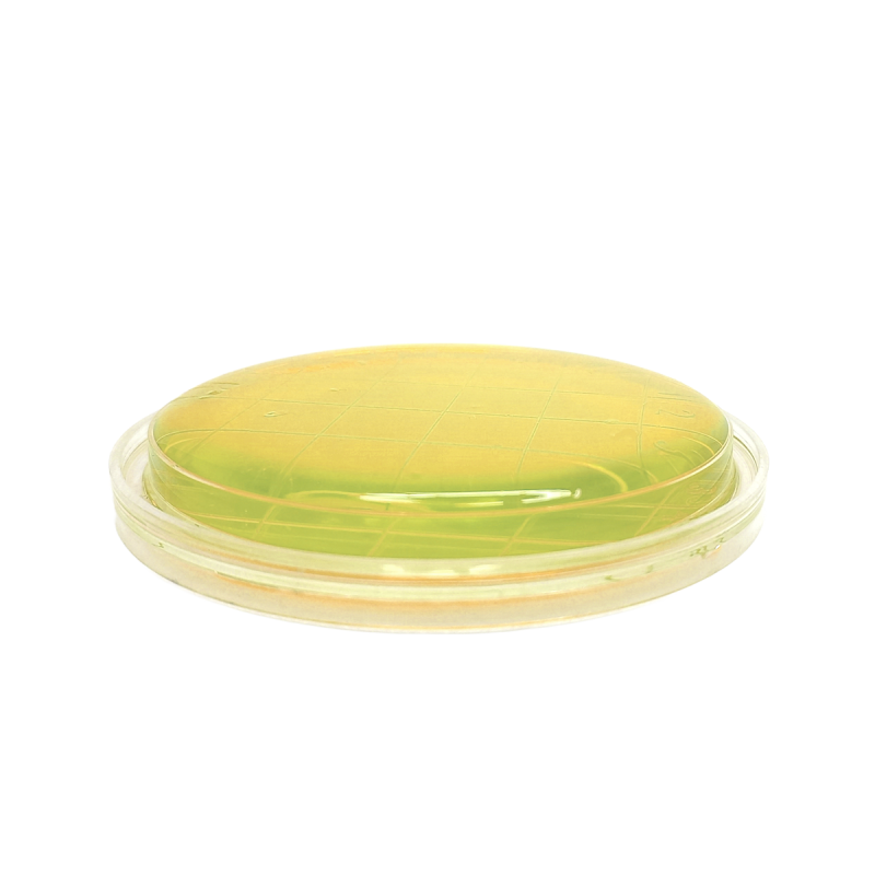 Baird Parker RPF Agar ISO (contact)