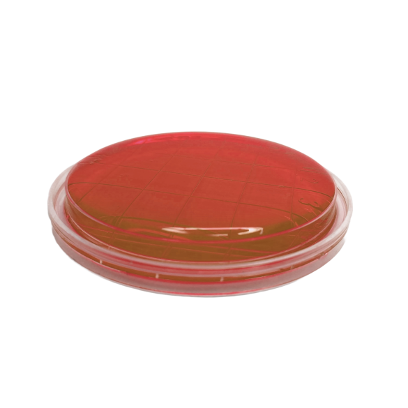 Brilliant Green Agar (BGA) EP ISO (contact)