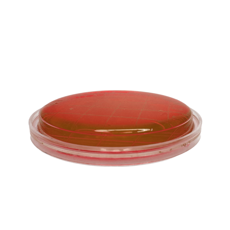 Brilliant Green Agar (BGA) EP ISO (contact)