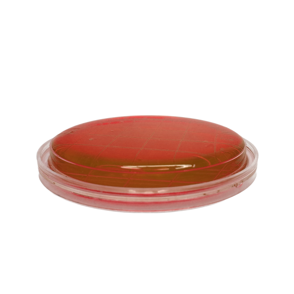 Brilliant Green Agar (BGA) EP ISO (contact)