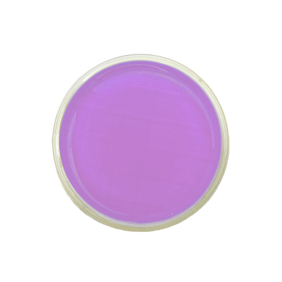 VRBL (Violet Red Bile Lactose Agar) ISO + 2 Neutralizers (contact)