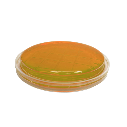 Bacillus cereus MYP Agar ISO (contact) 2