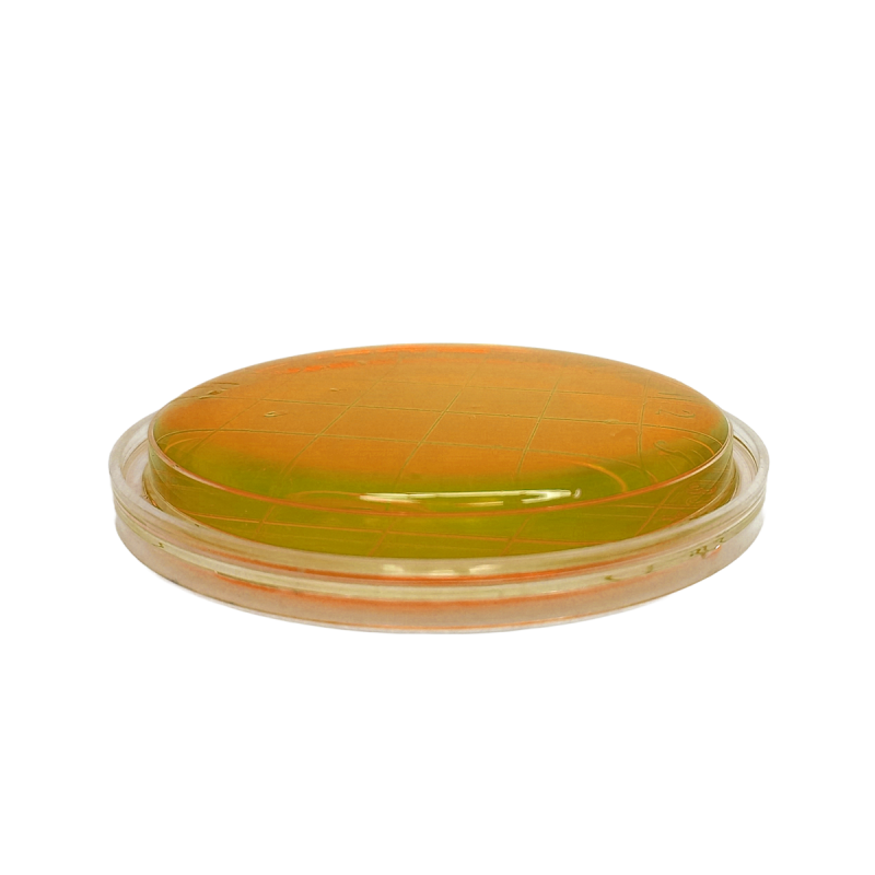 Bacillus cereus MYP Agar ISO (contact)