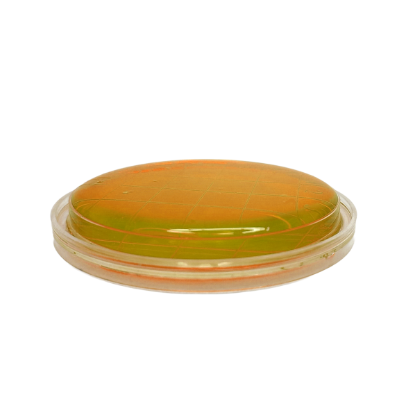 Bacillus cereus MYP Agar ISO (contact)