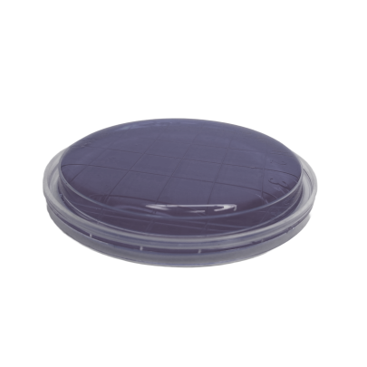 Legionella BCYE Agar ISO (contact) 2
