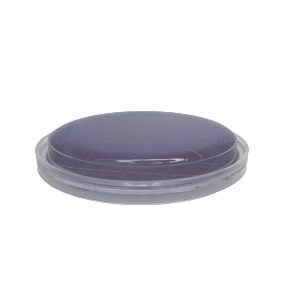 Legionella BCYE w/o Cys Agar ISO (contact)