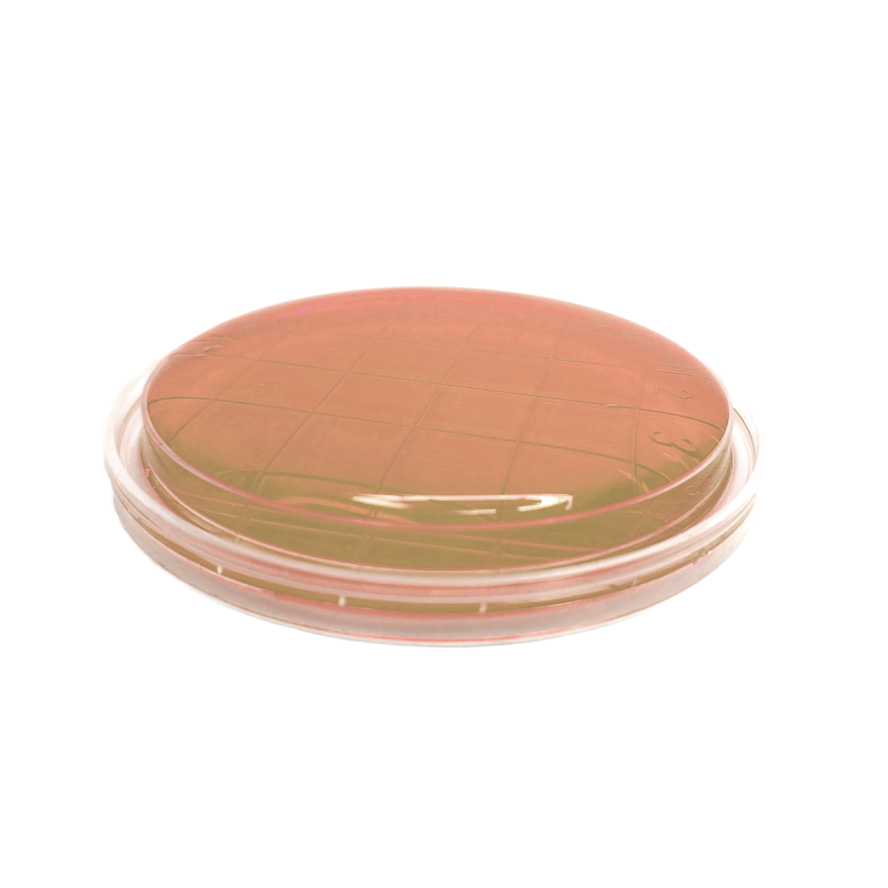 m-Enterococcus Agar (Slanetz-Bartley) ISO (contact)