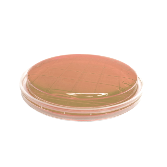 m-Enterococcus Agar (Slanetz-Bartley) ISO (contact)