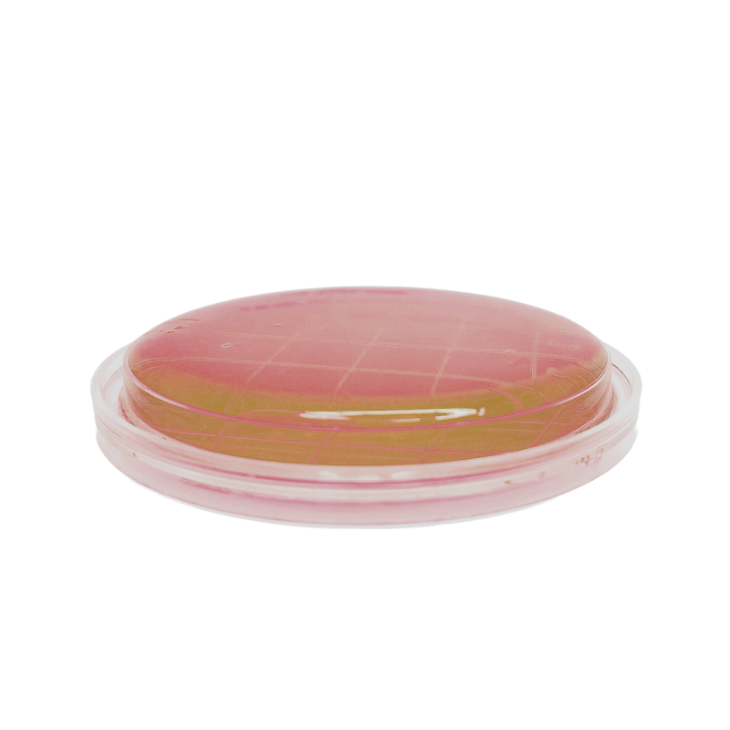 m-Enterococcus Agar (Slanetz-Bartley) ISO (contact)