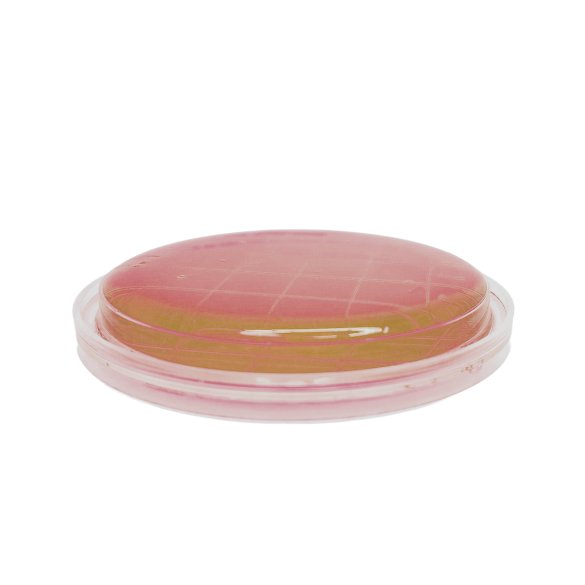 m-Enterococcus Agar (Slanetz-Bartley) ISO (contact)