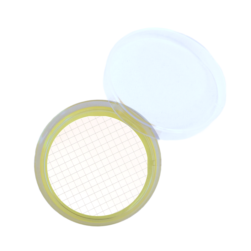 Bile Esculin Azide Agar ISO (60 mm)