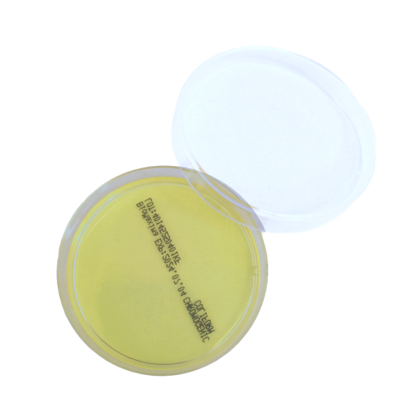 KF Streptococcus Agar DM (60 mm)