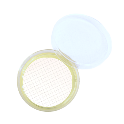 Baird Parker Agar ISO (60 mm) 2