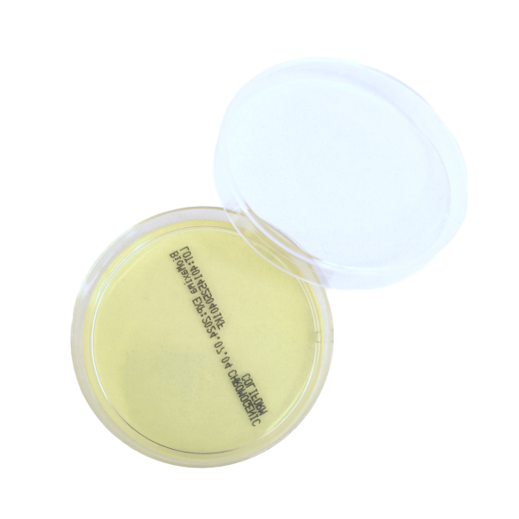 SDA EP USP ISO (60 mm) IRRADIATED