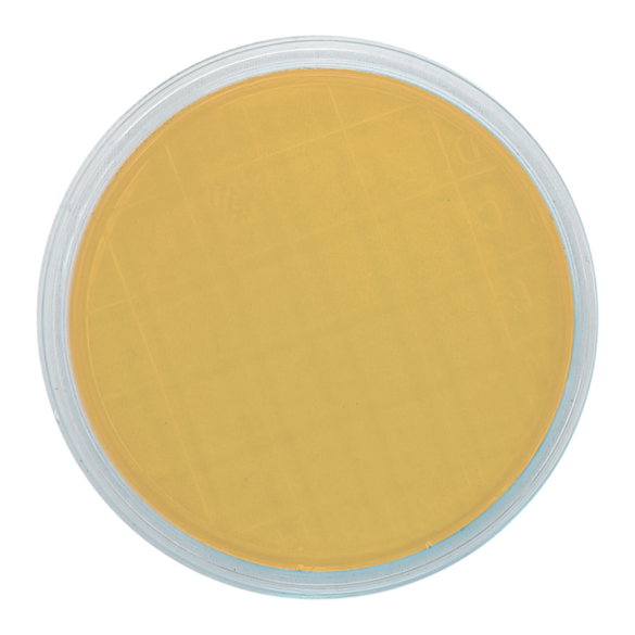 Malt Extract Agar (air sampler 90 mm)
