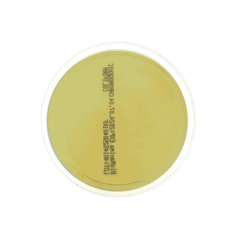 SPS Agar APHA (60 mm)