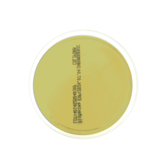 SPS Agar IRSA (60 mm)