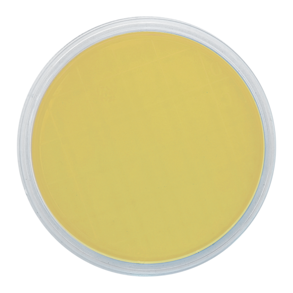 TSA EP USP ISO + 2 Neutralizzanti (air sampler 90 mm)