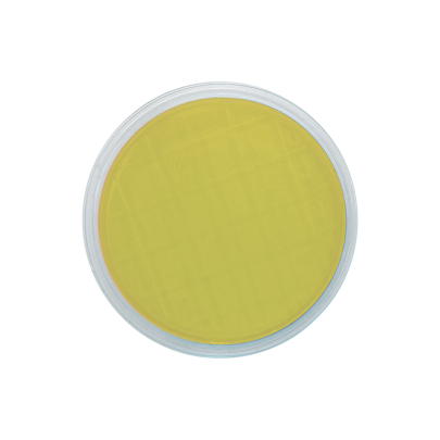 TSA EP USP ISO (air sampler)
