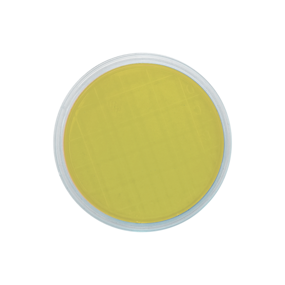 TSA EP USP ISO (air sampler)