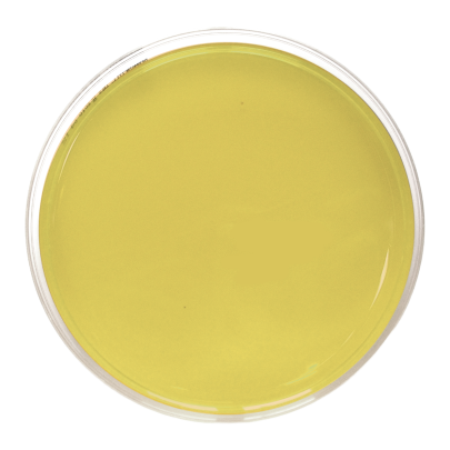 TSA EP USP ISO (90 mm 30 ml)