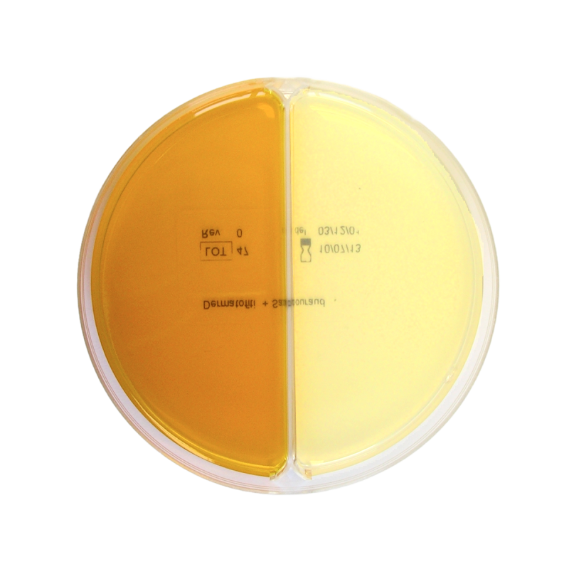 Dermatofiti Agar / SDA Agar