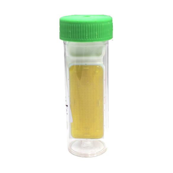 VRBG + Lecitina + Tween 80 / Bile Esculin Azide Agar + Lecitina + Tween 80